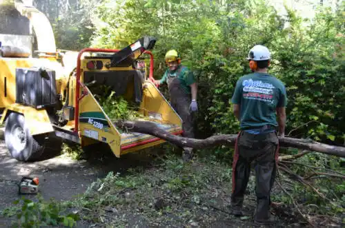 tree services Siloam Springs